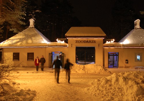 Rīgas Zooloģiskajā dārzā  Ziemas naktis sākas 13. decembrī! 