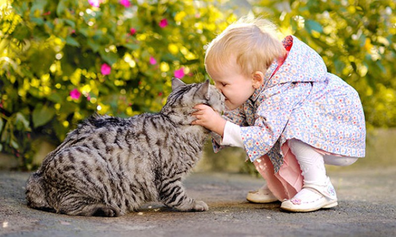 FACEBOOK FOTOkonkurss: "Mans bērns un kaķis" ir galā