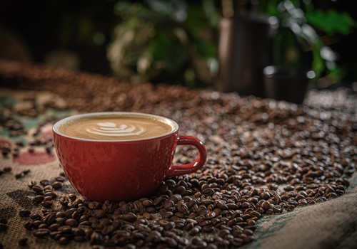 Kā pagatavot lielisku kafiju meža vidū?