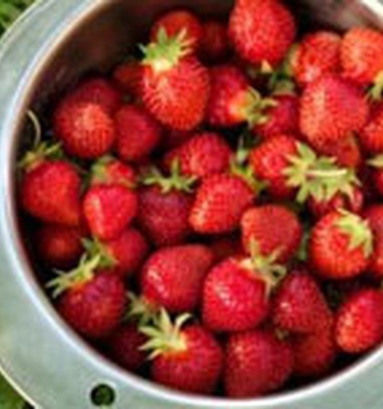 Tikai 100g zemeņu dienā un nepieciešamā C vitamīna deva nodrošināta!