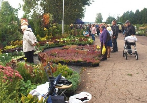 Rudens Stādu parāde 2011 jau drīzumā!