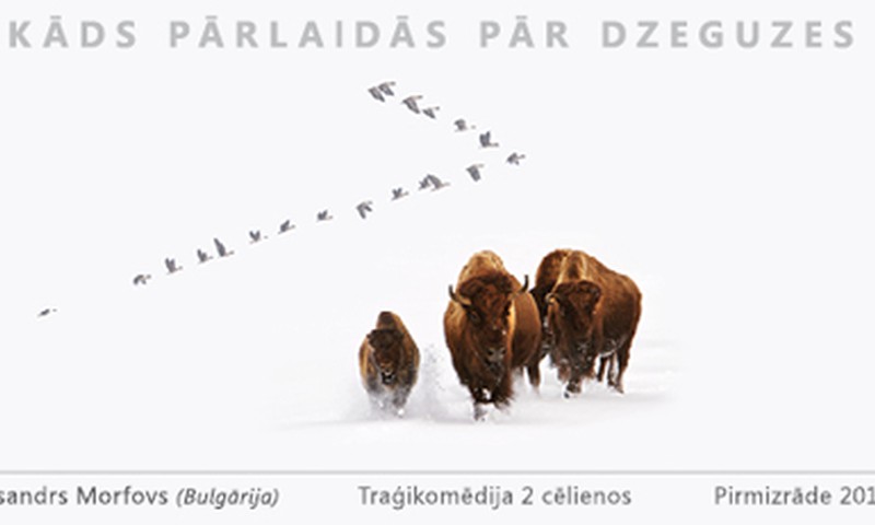 Nakts no 10. uz 11.februāri – Dailes teātra Izdevīgā nakts