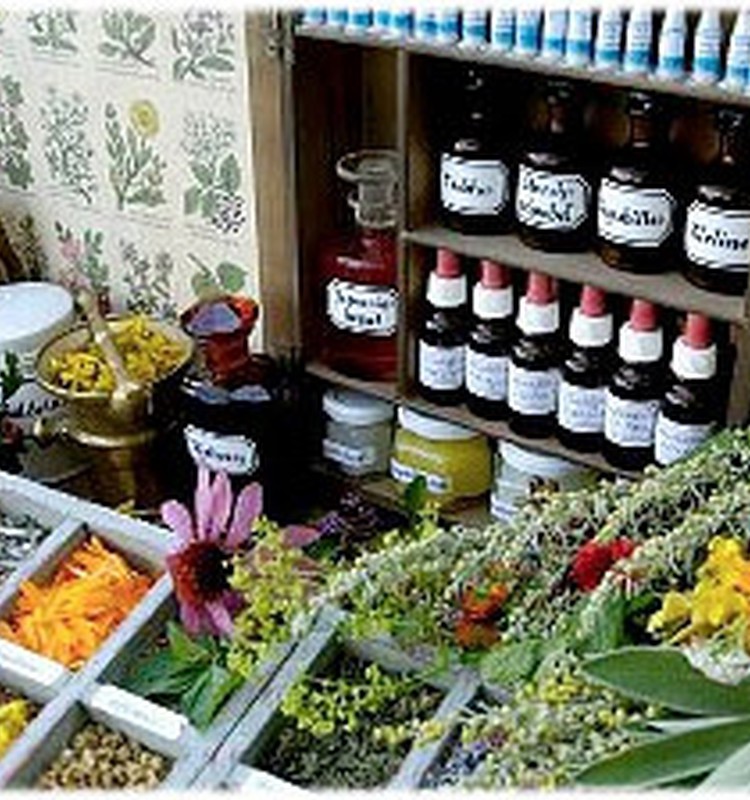 Homeopātija ārstē nevis slimību, bet slimnieku: homeopātijas vēsture