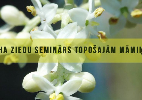 Baha ziedu seminārs topošajām māmiņām