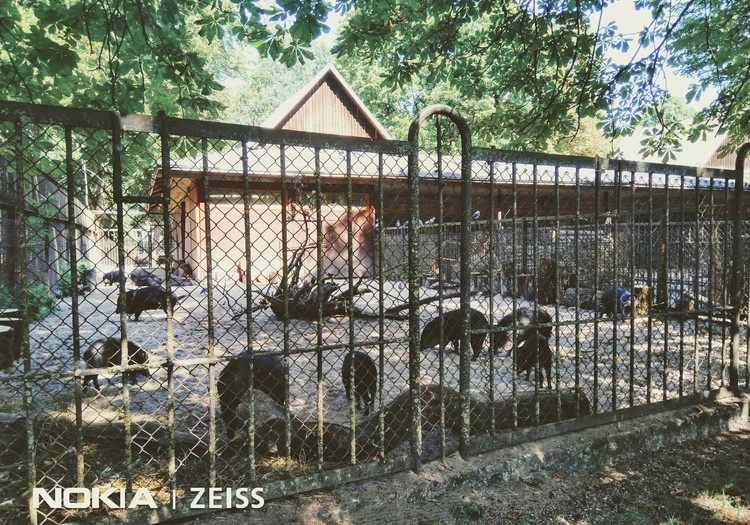Kauņas zooloģiskais dārzs