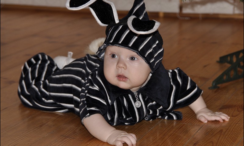 Ziemassvētku fotoblogu konkurss: Zem eglītes mazs zaķītis!