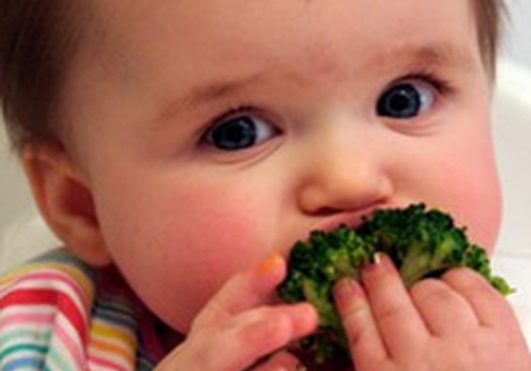 Vai 7 mēnešu vecumā pietiek tikai ar dārzeņu biezenīti?
