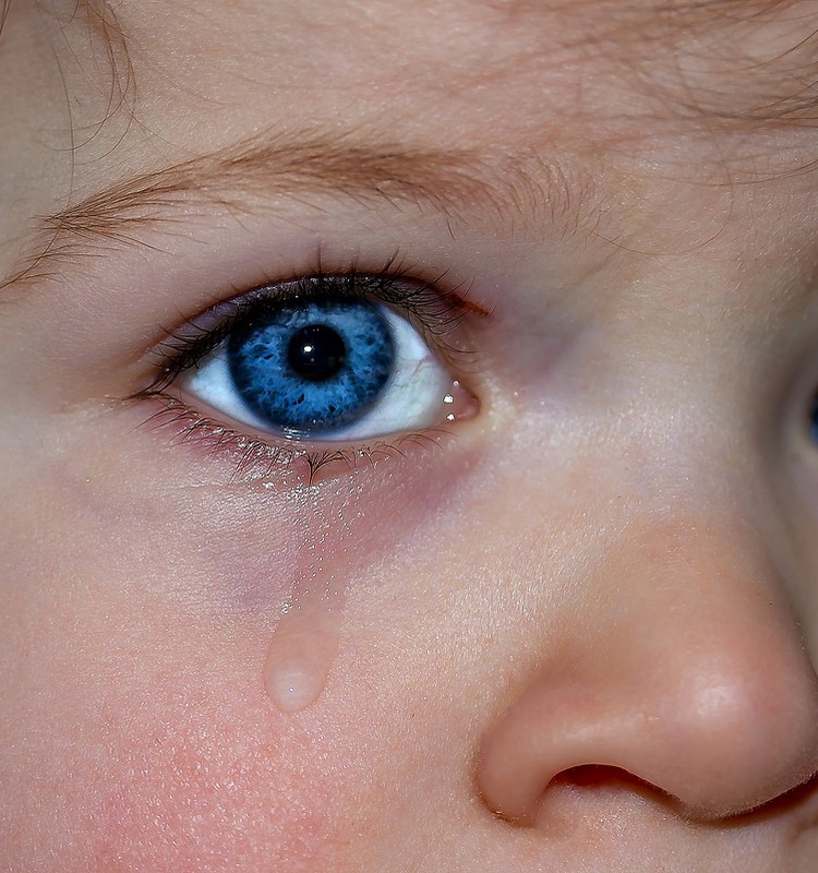 Fejiņa dodas uz bērnudārzu: Pirmā nedēļa ar histērijām un asarām