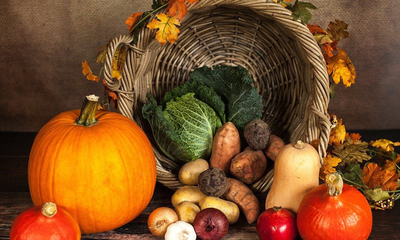 Vesels kā rutks: kādi vitamīni dzīvo rudens dabas veltēs