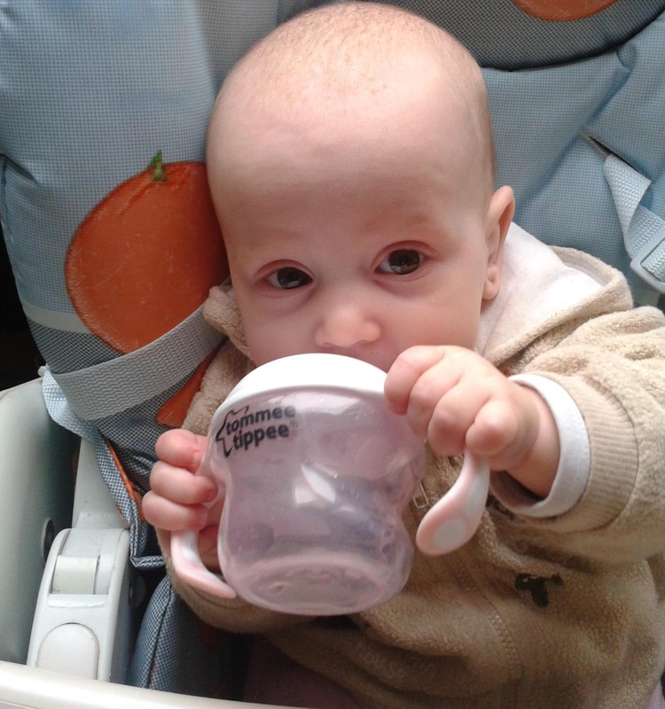 Mācāmies dzert no mācību krūzītes Tommee Tippee.
