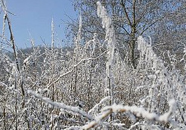 Skolēni aukstuma dēļ var neiet uz skolu