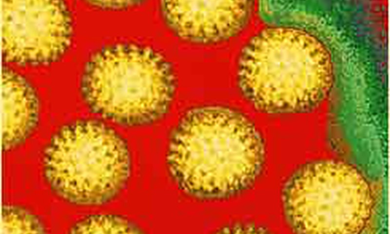 Saslimstība ar rotavīrusu infekciju samazinājusies par 38%