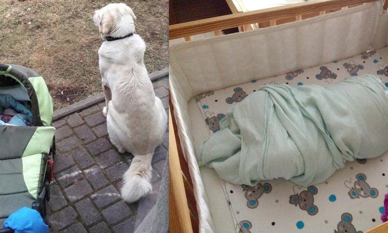 Elli un Itana piedzīvojumi: Kušss.. mazuļi guļ!