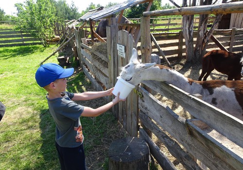 Mini ZOO "Buki" Ventspils novadā