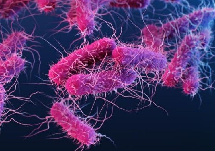 Pēdējo dienu laikā Latvijā reģistrēti 10 enterohemorāģiskās E.coli infekcijas gadījumi