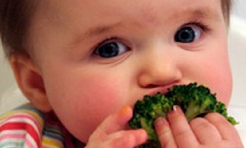 Vai 7 mēnešu vecumā pietiek tikai ar dārzeņu biezenīti?