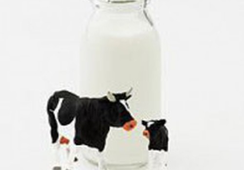 Piena produkti- īsta vitamīnu noliktava!