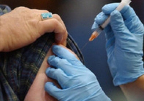 Gripas vakcīna palielina uzņēmību pret cūku gripas H1N1 vīrusu 