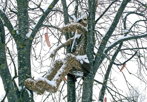 Salaspils zaķu "viesizrādes"