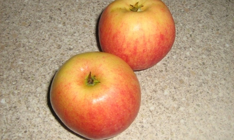 Cepti āboli ar brūklenēm