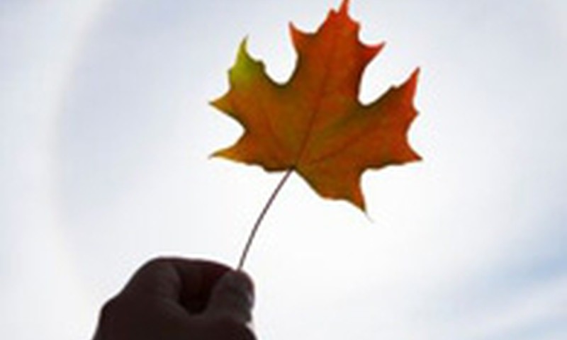 Valmierā notiks sporta-prieka spēles bērniem un jauniešiem ar īpašām vajadzībām "Mēs varam!"