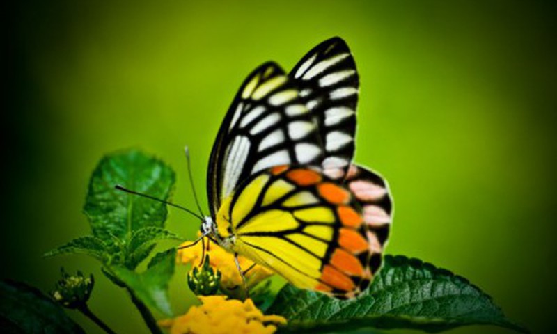 Raksts ar laimīgām beigām...