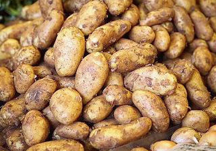 Kuri ir šobrīd pieprasītākie ekoloģiskie pārtikas produkti?