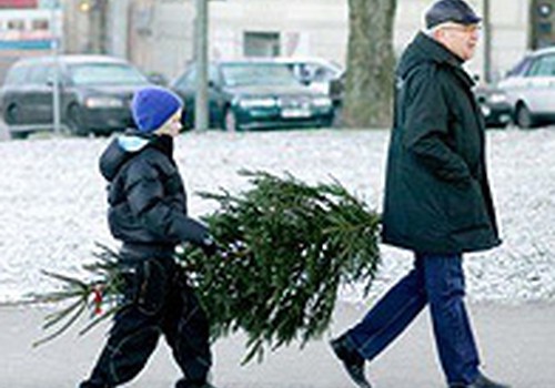 Šogad Ziemassvētku eglīšu cenas varētu būt par 10% mazākas