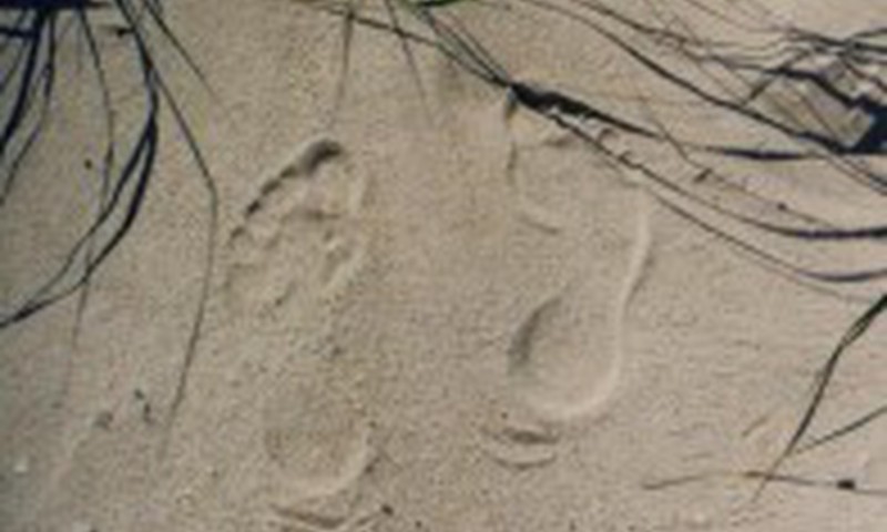 Mēs esam gatavi paziņot laimētāju vārdu konkursā "Atstāj savus nospiedumus"!