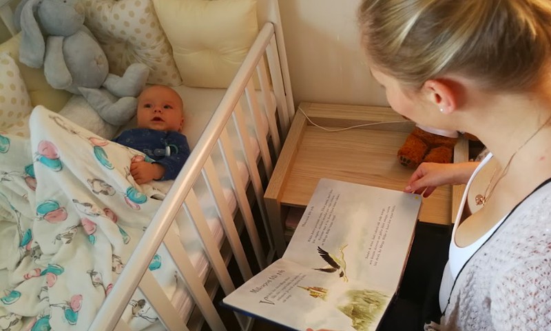 Laimīga mazuļa dienasgrāmata: Seši mēneši vienā kustībā un iepazīstot pasauli.