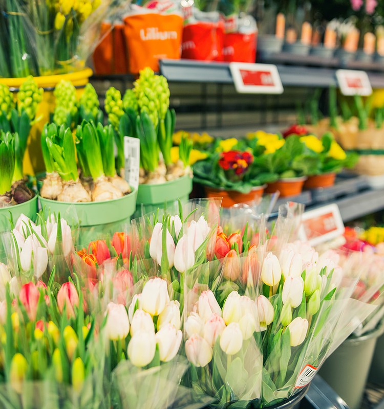 Vīrieši 8. marta dāvanām plāno tērēt līdz 50 eiro, sievietes sagaida ziedus un laiku sev
