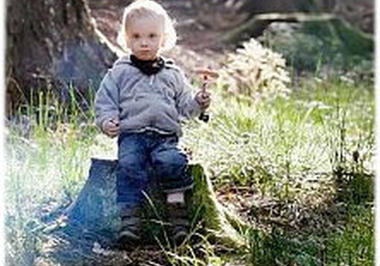 Noslēgusies aptauja par vasaras nometnēm