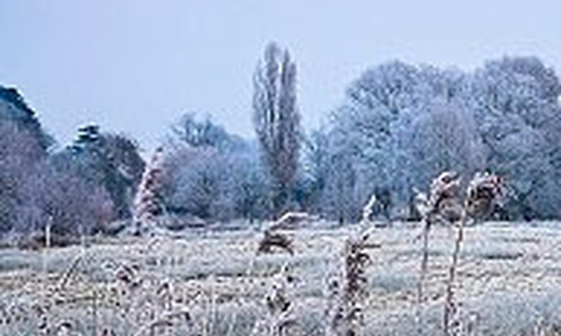 Brīvdienās kļūs siltāks; gaidāms arī atkusnis