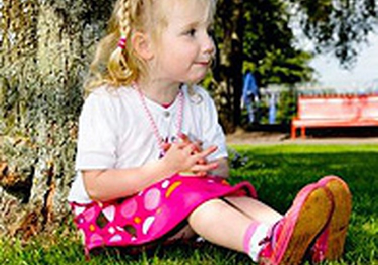 Ērču encefalīta pote