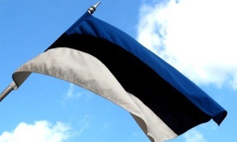 Igaunijas parlaments neatbalsta vecāku pabalstu samazināšanu